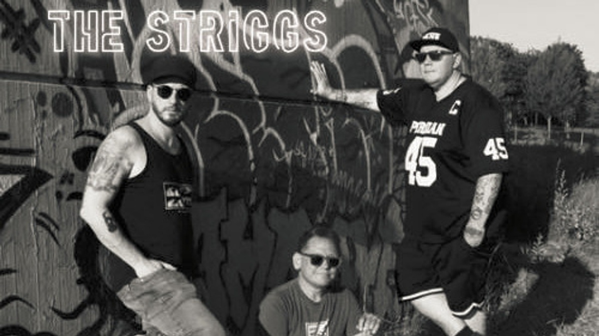 THE STRIGGS (DE) + Vaultaire (DE) - Punk'n'Roll