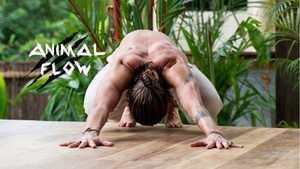 Introduction to Animal Flow®