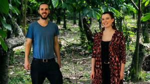 Critical Chocolate Night