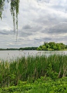 Großer Lienewitzsee