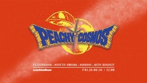 Peachy Cosmos Vol.18
