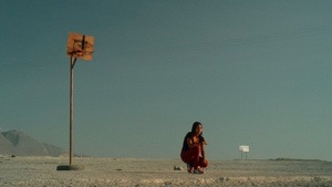 INTERFILM 41: Of Roots and Branches
