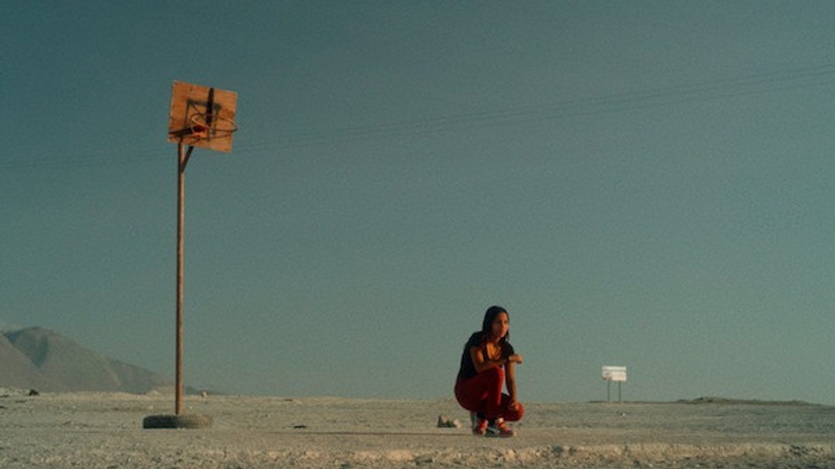 INTERFILM 41: Of Roots and Branches