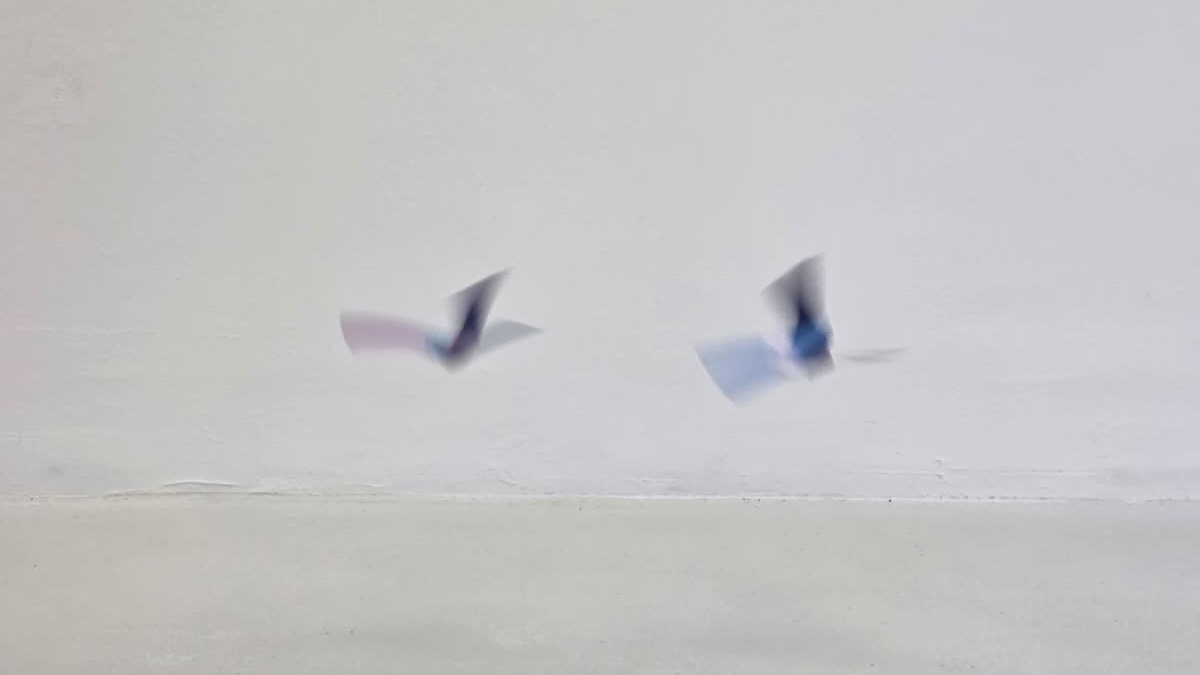 Papier in Bewegung: Flugobjekte zum Falten und Experimentieren