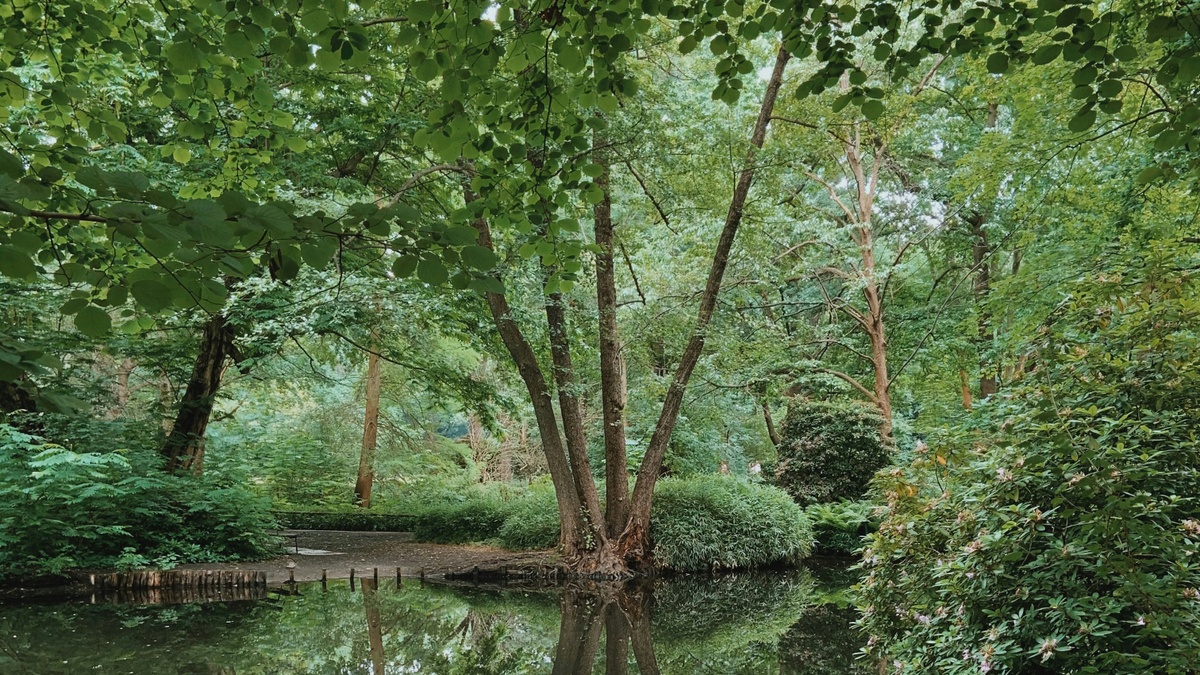 Berlin-Tiergarten