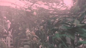 The Fisherman – Multimediale Installation