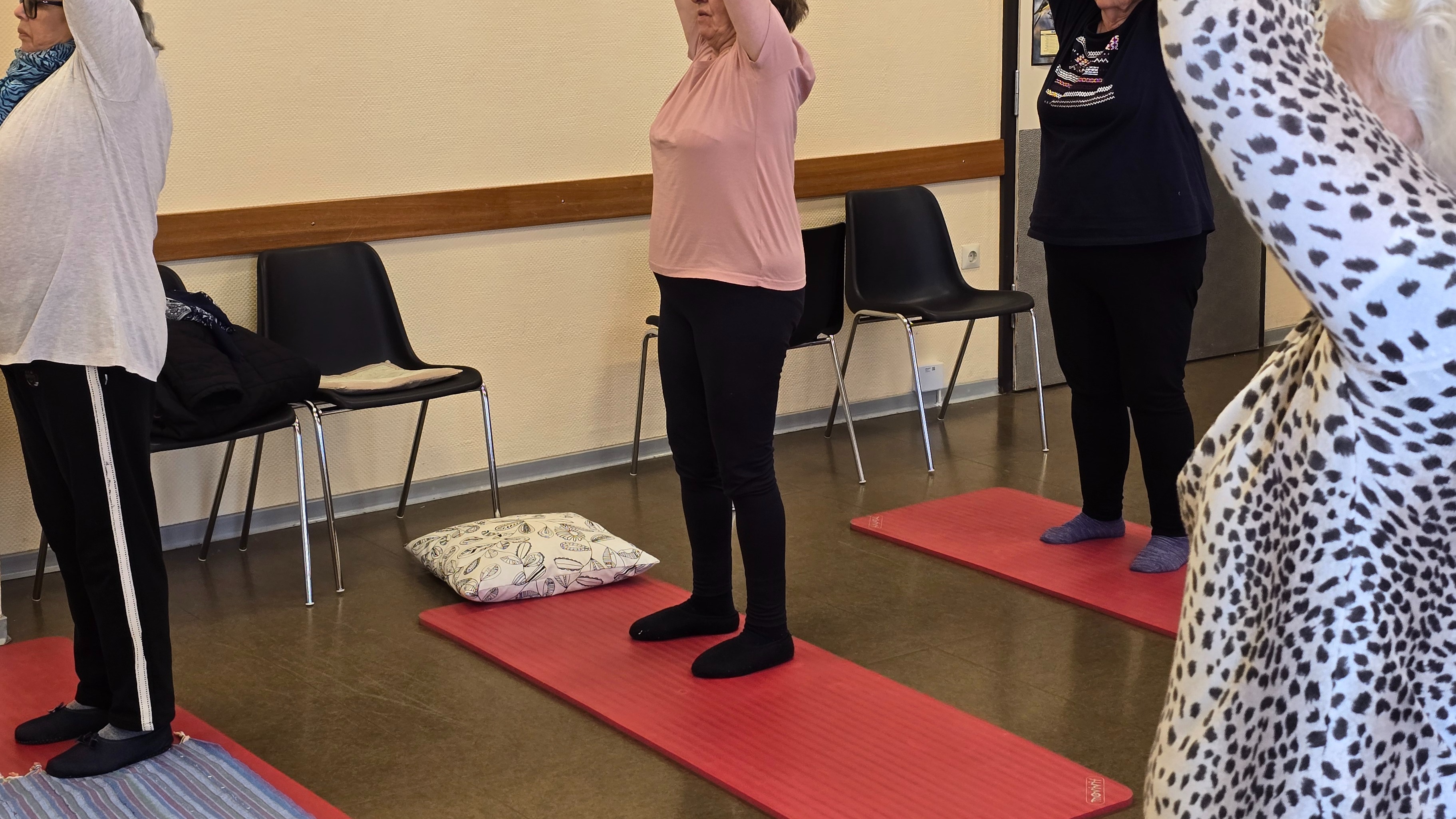YIN & VINYASA YOGA (ANFÄNGER*INNEN) Anspannungen lösen und Ausgleich finden