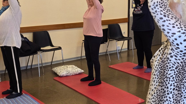 YIN & VINYASA YOGA (ANFÄNGER*INNEN) Anspannungen lösen und Ausgleich finden