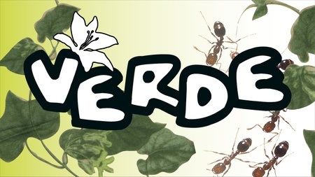 VERDE – Konzerte X Grillwoch X Retrorausch