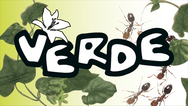 VERDE – Konzerte X Grillwoch X Retrorausch