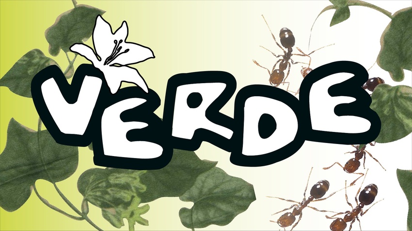 VERDE – Konzerte X Grillwoch X Retrorausch