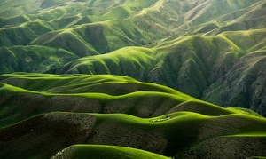 „Art of being … Nature“ - Lesung & Film