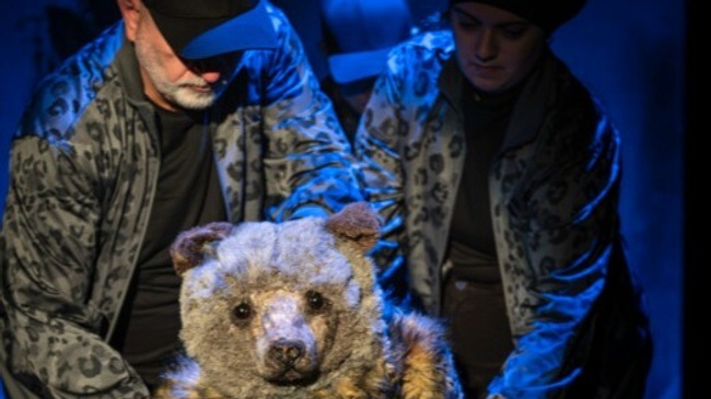 Was das Nashorn sah, als es auf die andere Seite des Zauns schaute (ab 9 J.)