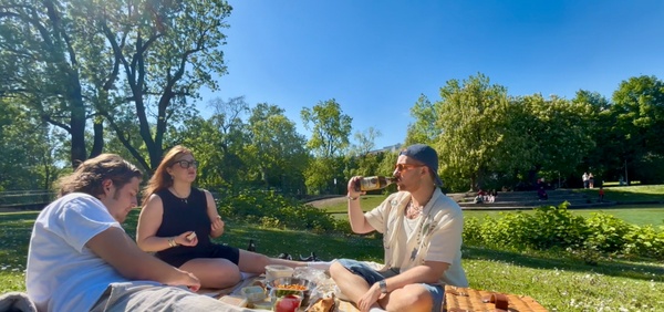 Perfekte Spots zum Picknicken in München
