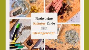 Kräutermischung-Workshop – Dein persönlicher Wohlfühltee 🌿✨
