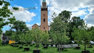 Maulbeeren, Kreuz und Seide – Zeitreise ins alte Tiergartenviertel