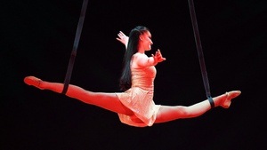 Weihnachtscircus Düsseldorf - Family & Friends Angebot