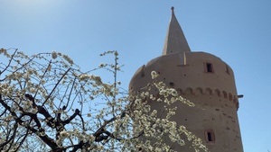 Objektführung: Hexenturm