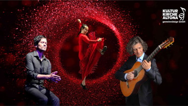 Ay! Flamenco!