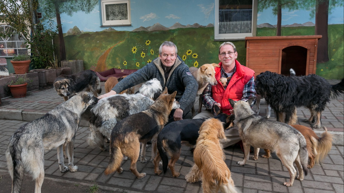 Trödelmarkt zu Gunsten alter, kranker in Not geratener Tiere welche liebevoll umsorgt und bis zum Lebensende betreut werden, stöbern und finden, jeder Cent zu 100% für die Tiere