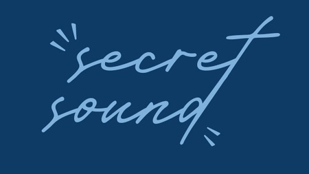 Secret Sound Vol. 6