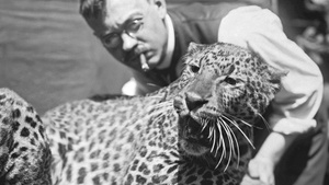 FÜHRUNG | Wie Menschen Tiere sehen