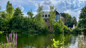Natur an der Ruhr
