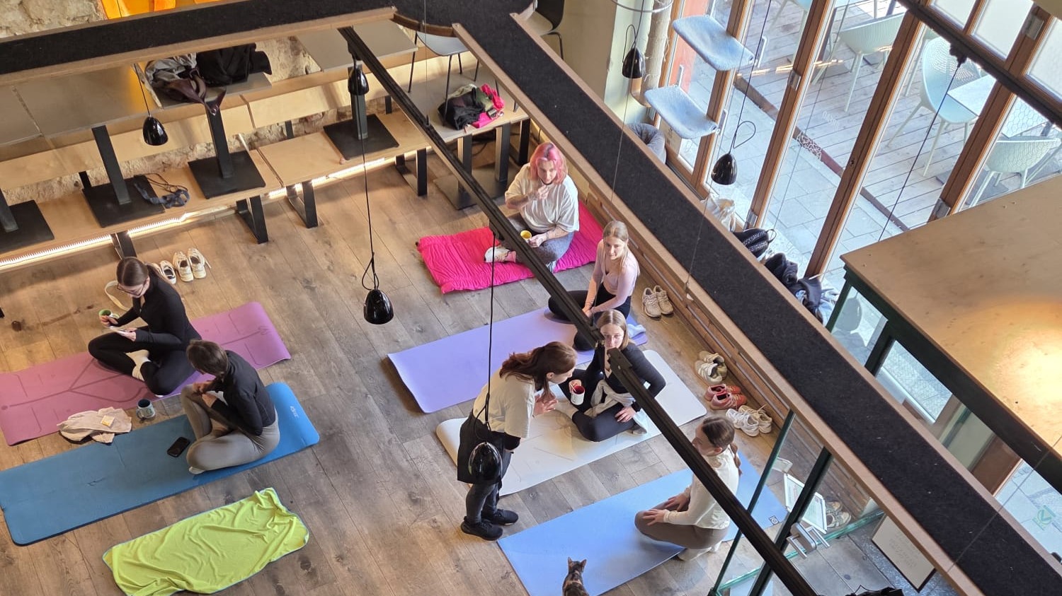 Yoga und Brunch im Katzentempel Regensburg