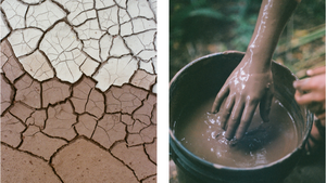Witness Clay // Clay as Witness