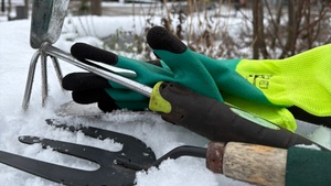 Vortrag: "Kaltkeimer - Einblick in die faszinierende Welt der Pflanzen, die Kälte lieben"