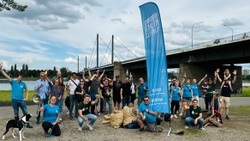 Cleanup Theodor-Heuss-Brücke