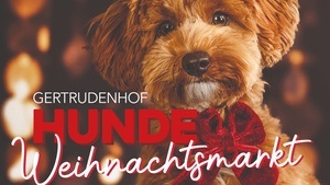 großer Hunde-Weihnachtsmarkt auf dem Gertrudenhof