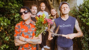 DONOTS - "Schwert aus Holz" - Akustik Tour