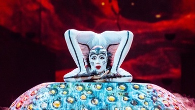 CIRQUE DU SOLEIL - OVO
