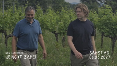 Winzertasting - Weingut Zahel