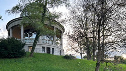 YogaThrive x Teehaus