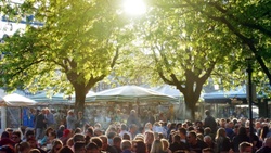 BaumEntscheid München