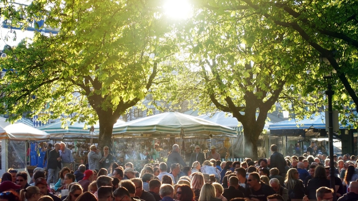 BaumEntscheid München