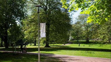NEBENPFADE: Zukunftsfähige Stadtnatur und essbare Stadt