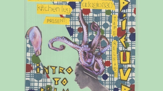 Pieuvre (post-punk, bln, rec release!) + Intro To Film Theory (lofi-pop, bln)