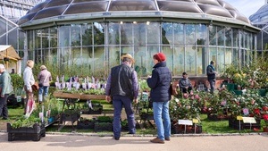 Berliner Staudenmrkt im Botanischen Garten