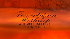 Fermentationsworkshop mit Asli Hatipoğlu