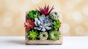 WORKSHOP: Lebendiges Pflanzenbild