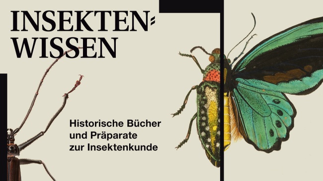 Ausstellungsführung: Insektenwissen. Historische Bücher und Präparate zur Insektenkunde