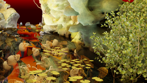 „Nature-Writing“ | Workshop mit Marion Poschmann