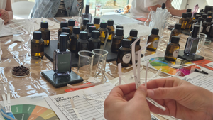 DIY-Parfüm-Workshop in Mannheim: Kreiere Deinen Duft