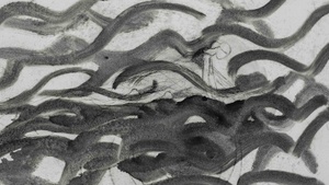 Kostenlose Ausstellungsführung