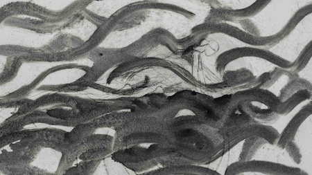 Kostenlose Ausstellungsführung