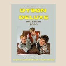 Dyson Deluxe