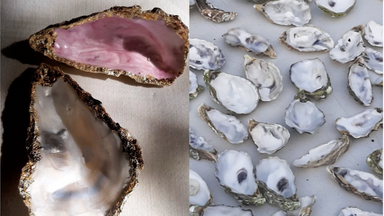 🐚 Schmuckschälchen aus Austernschalen 🐚